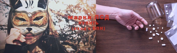 прущие грибы Володарск