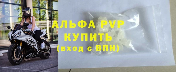 прущие грибы Володарск