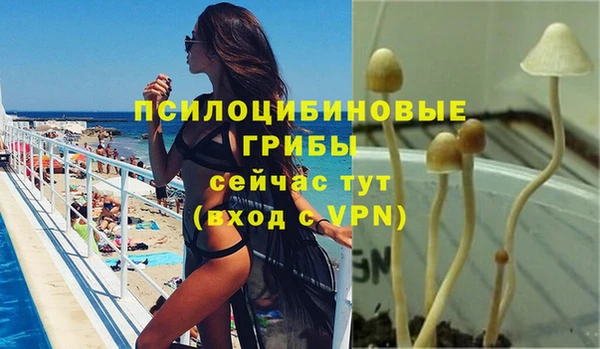 mdpv Волосово